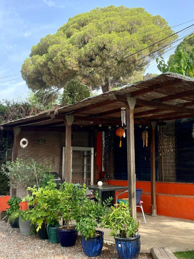Palm Maresme - Suite With Bathroom And Terrasse With Ocean Views In A Private Villa Vilassar De Dalt Exteriör bild