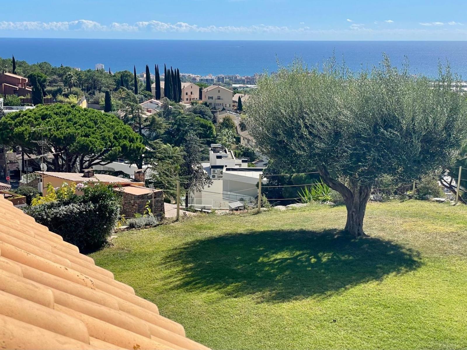 Palm Maresme - Suite With Bathroom And Terrasse With Ocean Views In A Private Villa Vilassar De Dalt Exteriör bild